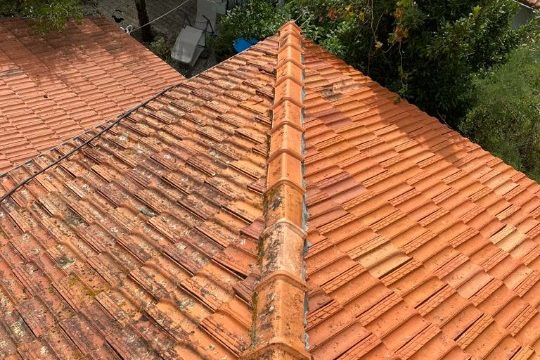 Nettoyage de toiture